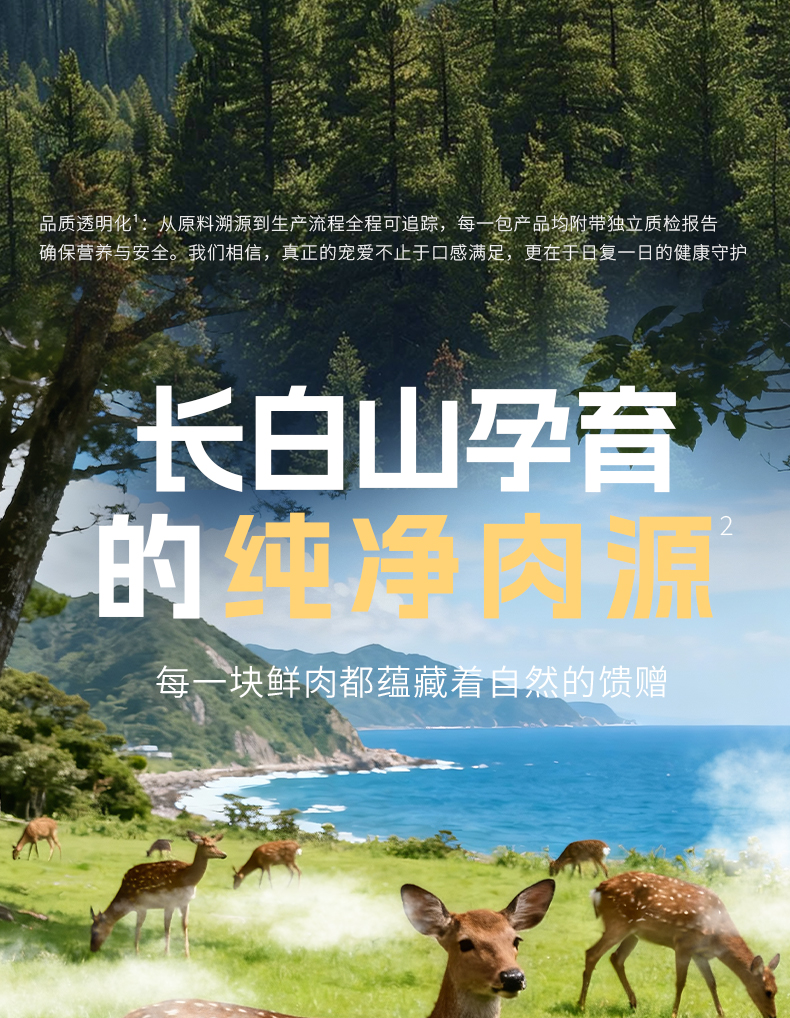 长白山梅花鹿自然生态场景